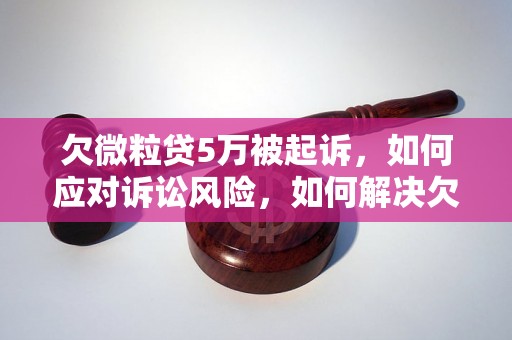 欠微粒贷5万被起诉，如何应对诉讼风险，如何解决欠款问题