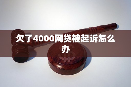 欠了4000网贷被起诉怎么办