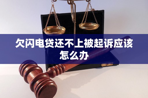 欠闪电贷还不上被起诉应该怎么办