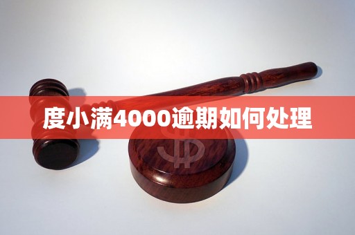 度小满4000逾期如何处理