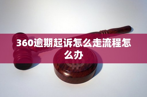 360逾期起诉怎么走流程怎么办