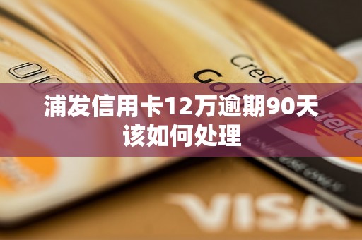 浦发信用卡12万逾期90天该如何处理