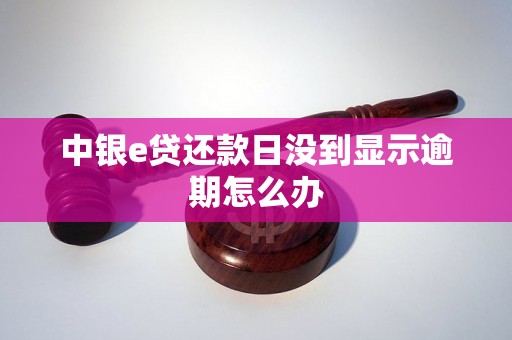 中银e贷还款日没到显示逾期怎么办