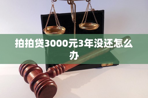 拍拍贷3000元3年没还怎么办