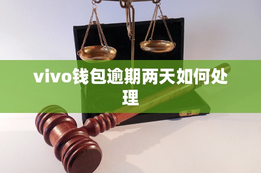 vivo钱包逾期两天如何处理