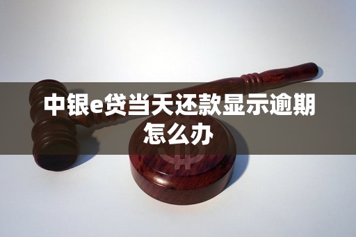 中银e贷当天还款显示逾期怎么办