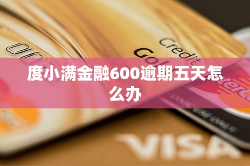 度小满金融600逾期五天怎么办