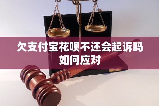 欠支付宝花呗不还会起诉吗如何应对