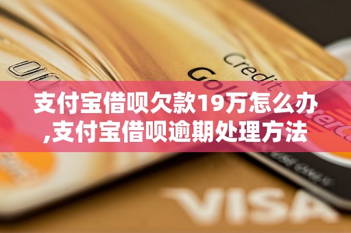 支付宝借呗欠款19万怎么办,支付宝借呗逾期处理方法