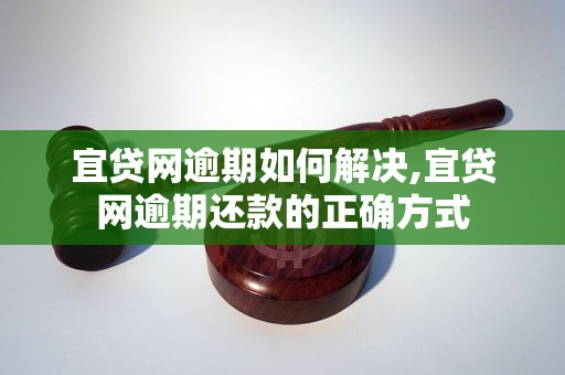 宜贷网逾期如何解决,宜贷网逾期还款的正确方式