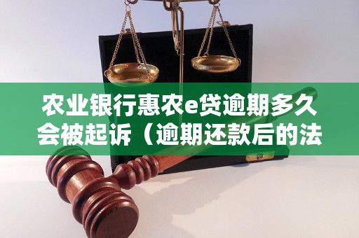 农业银行惠农e贷逾期多久会被起诉（逾期还款后的法律后果）