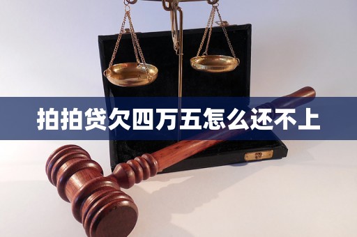 拍拍贷欠四万五怎么还不上