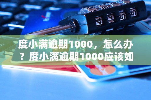 度小满逾期1000，怎么办？度小满逾期1000应该如何处理？