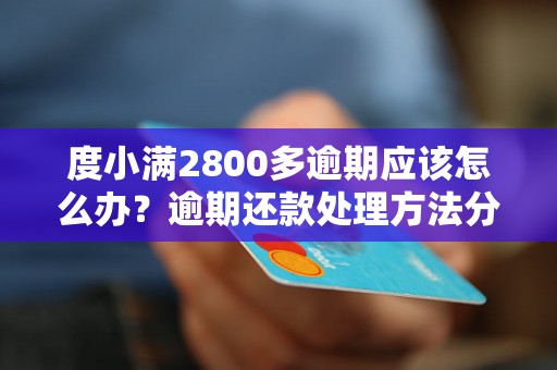 度小满2800多逾期应该怎么办？逾期还款处理方法分析