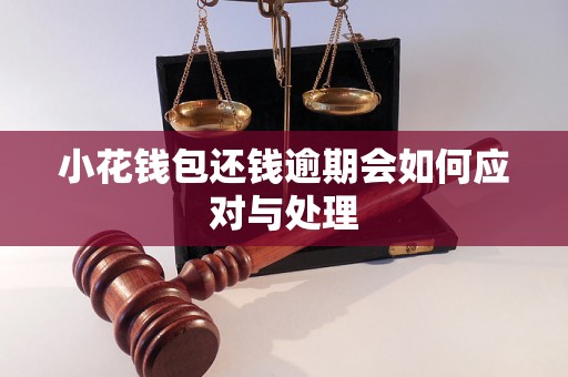 小花钱包还钱逾期会如何应对与处理