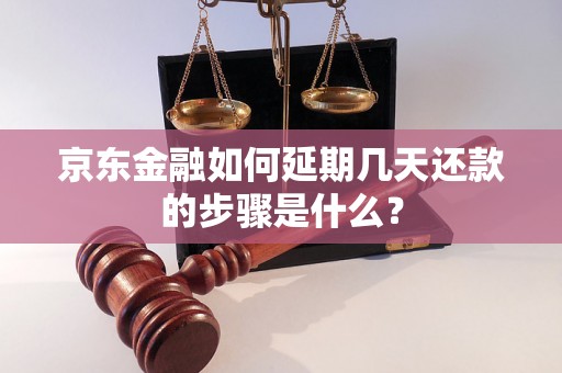 京东金融如何延期几天还款的步骤是什么？