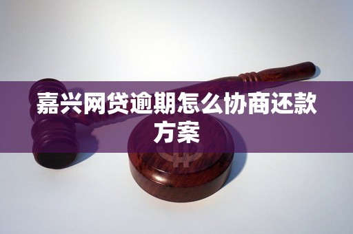 嘉兴网贷逾期怎么协商还款方案