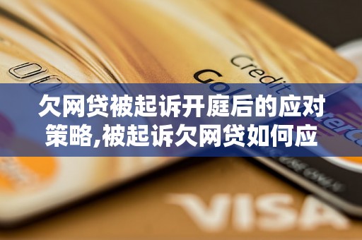 欠网贷被起诉开庭后的应对策略,被起诉欠网贷如何应对开庭