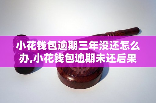 小花钱包逾期三年没还怎么办,小花钱包逾期未还后果及解决办法