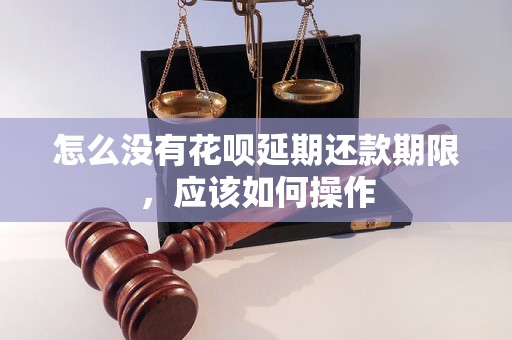 怎么没有花呗延期还款期限，应该如何操作