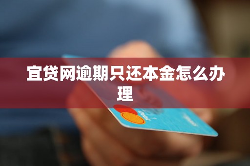 宜贷网逾期只还本金怎么办理