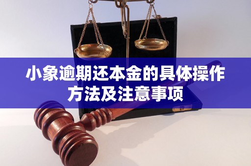 小象逾期还本金的具体操作方法及注意事项