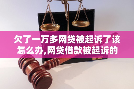 欠了一万多网贷被起诉了该怎么办,网贷借款被起诉的解决方法