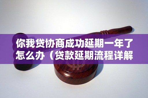 你我贷协商成功延期一年了怎么办（贷款延期流程详解）