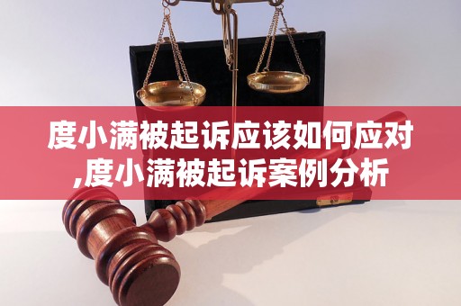 度小满被起诉应该如何应对,度小满被起诉案例分析