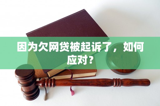 因为欠网贷被起诉了，如何应对？