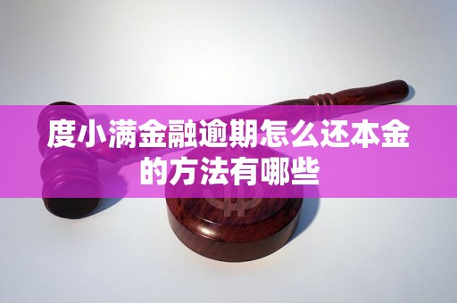 度小满金融逾期怎么还本金的方法有哪些