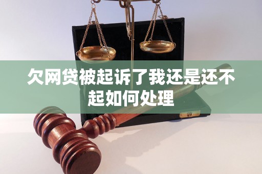 欠网贷被起诉了我还是还不起如何处理