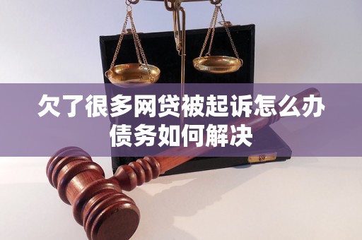 欠了很多网贷被起诉怎么办债务如何解决