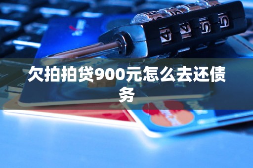 欠拍拍贷900元怎么去还债务