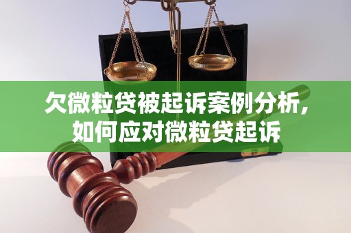 欠微粒贷被起诉案例分析,如何应对微粒贷起诉