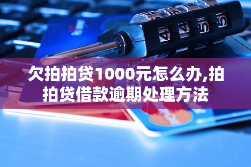 欠拍拍贷1000元怎么办,拍拍贷借款逾期处理方法