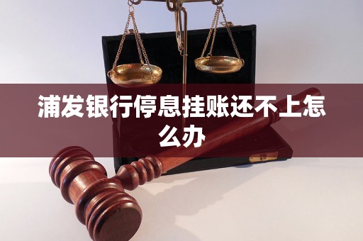 浦发银行停息挂账还不上怎么办