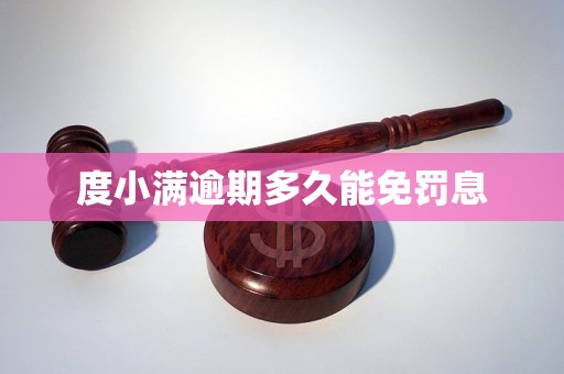 度小满逾期多久能免罚息