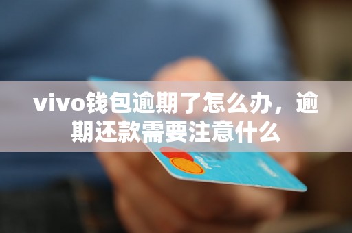 vivo钱包逾期了怎么办，逾期还款需要注意什么