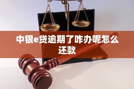 中银e贷逾期了咋办呢怎么还款