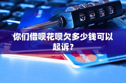 你们借呗花呗欠多少钱可以起诉？