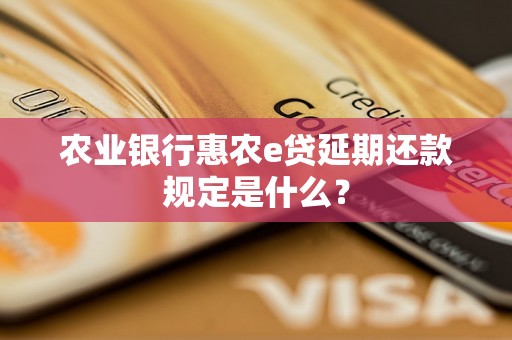 农业银行惠农e贷延期还款规定是什么？