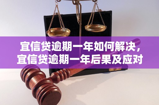 宜信贷逾期一年如何解决，宜信贷逾期一年后果及应对措施