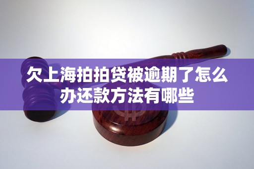 欠上海拍拍贷被逾期了怎么办还款方法有哪些