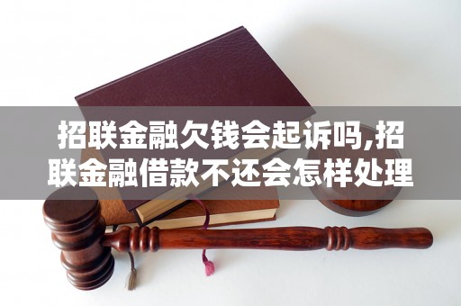 招联金融欠钱会起诉吗,招联金融借款不还会怎样处理