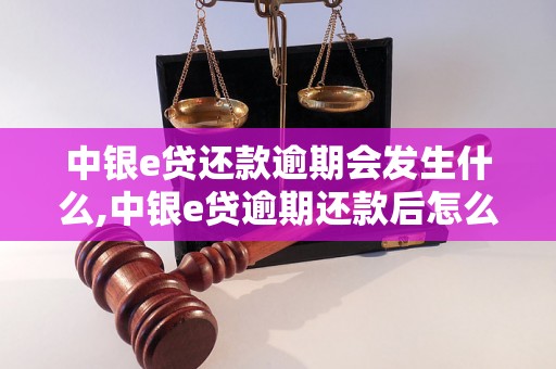 中银e贷还款逾期会发生什么,中银e贷逾期还款后怎么办