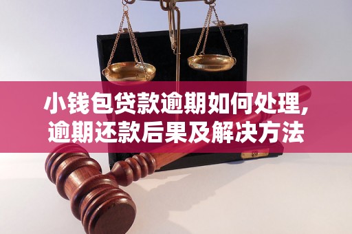 小钱包贷款逾期如何处理,逾期还款后果及解决方法