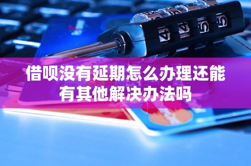 借呗没有延期怎么办理还能有其他解决办法吗