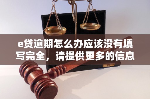 e贷逾期怎么办应该没有填写完全，请提供更多的信息