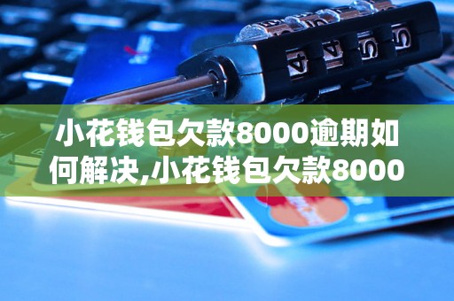 小花钱包欠款8000逾期如何解决,小花钱包欠款8000逾期应该怎么办